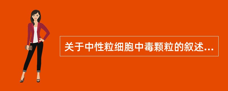 关于中性粒细胞中毒颗粒的叙述，错误的是