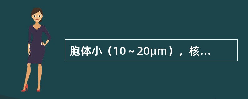 胞体小（10～20μm），核染色质较粗密，分布不匀，核仁1～3个，常模糊，胞质少，蓝色，无颗粒，常有出芽或小泡状，不规则突起，有时可见分离又与细胞相连的胞质碎片（似形成血小板）。符合下列哪种急性白血病