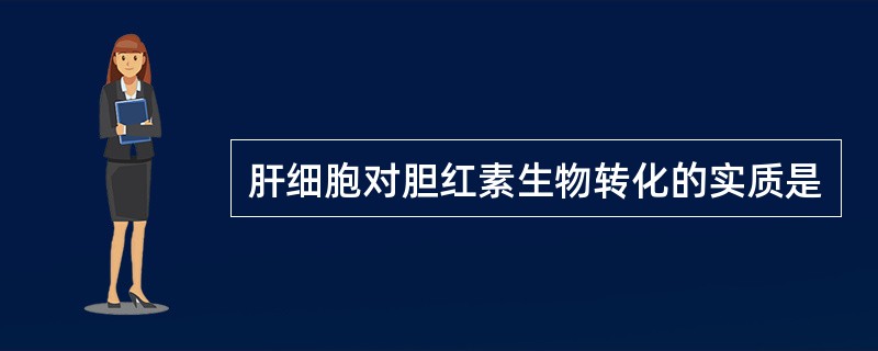 肝细胞对胆红素生物转化的实质是