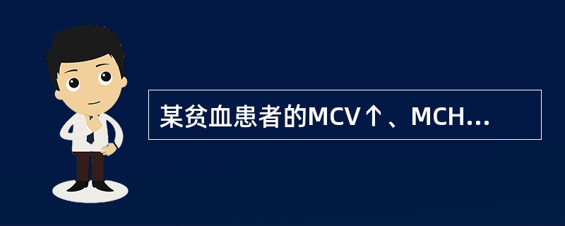 某贫血患者的MCV↑、MCH↑、MCHC正常，属于