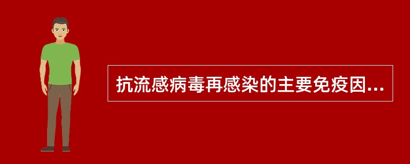 抗流感病毒再感染的主要免疫因素是()