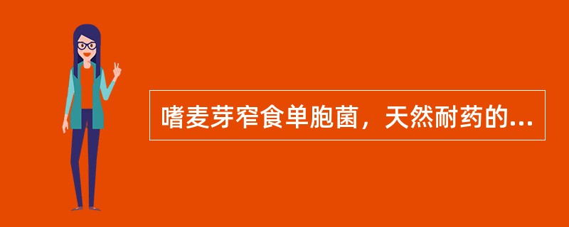嗜麦芽窄食单胞菌，天然耐药的药物是()