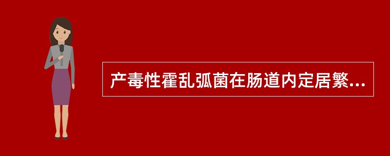产毒性霍乱弧菌在肠道内定居繁殖引起疾病，并刺激机体产生免疫反应引起的何种免疫是霍乱保护性免疫的基础（）