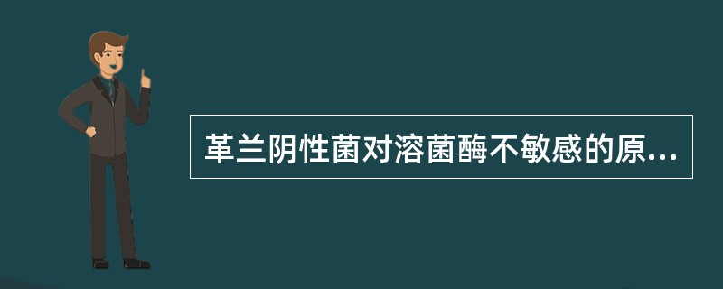 革兰阴性菌对溶菌酶不敏感的原因是()