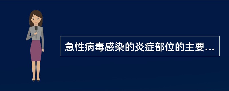 急性病毒感染的炎症部位的主要浸润细胞是()