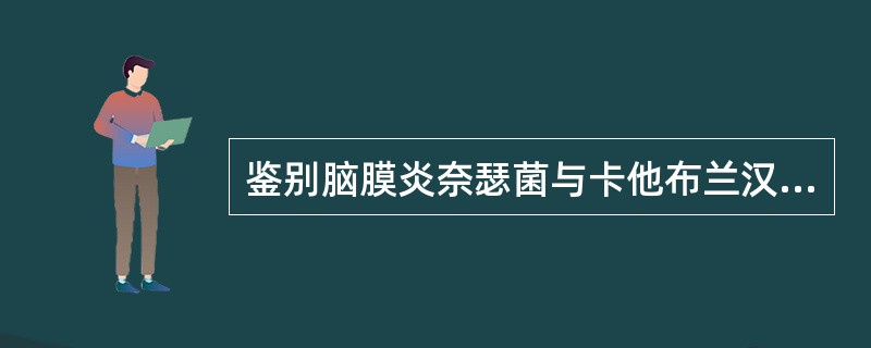 鉴别脑膜炎奈瑟菌与卡他布兰汉菌的相关试验是