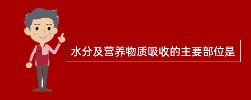 水分及营养物质吸收的主要部位是