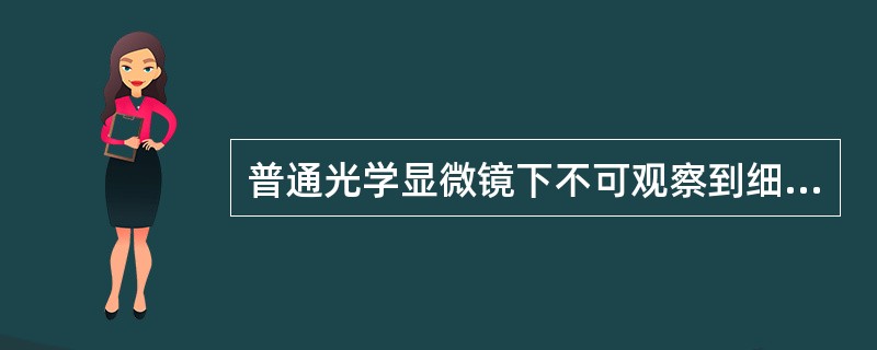 普通光学显微镜下不可观察到细菌的