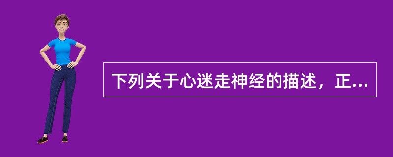 下列关于心迷走神经的描述，正确的是