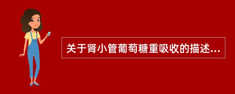 关于肾小管葡萄糖重吸收的描述，正确是