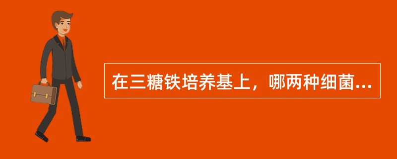 在三糖铁培养基上，哪两种细菌表现相似（）