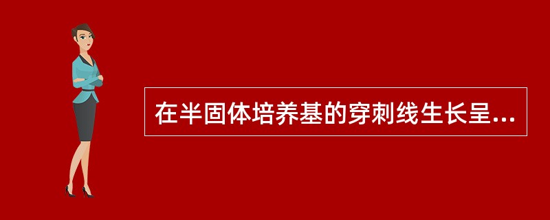 在半固体培养基的穿刺线生长呈模糊或根须状，并使培养基变混浊的细菌的特点是（）