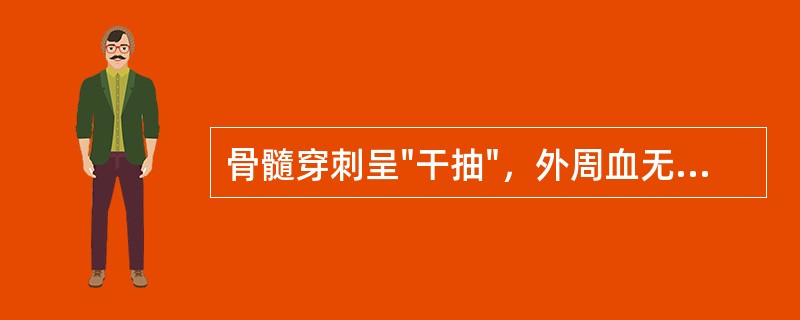 骨髓穿刺呈"干抽"，外周血无幼稚细胞出现，肝脾不肿大，可能为下面哪科疾病