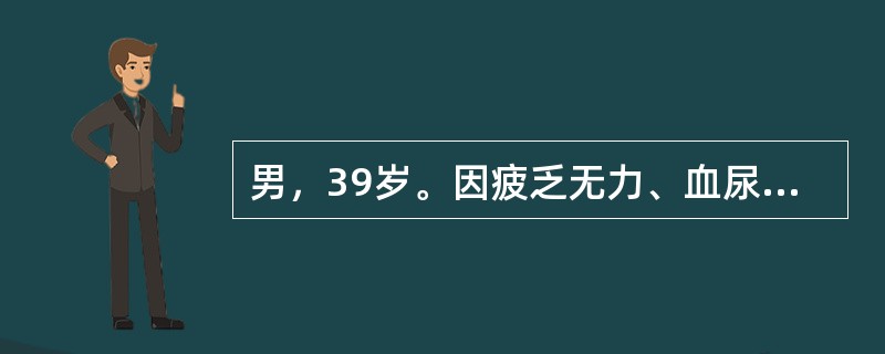 男，39岁。因疲乏无力、血尿3天就诊。实验室检查：尿液外观红色、稍浑浊，尿蛋白质(++)、红细胞(+++)、白细胞2～6个／HPF，粗颗粒管型1～2个／IPF，透明管型1～2个／LPF，红细胞管型1～