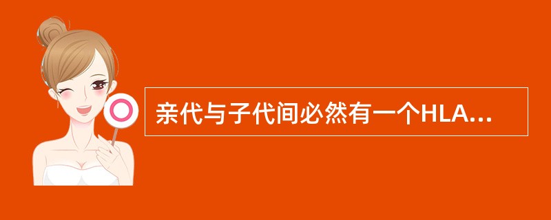 亲代与子代间必然有一个HLA单元型相同，这是因为()