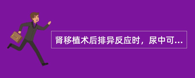 肾移植术后排异反应时，尿中可明显增多的细胞主要是