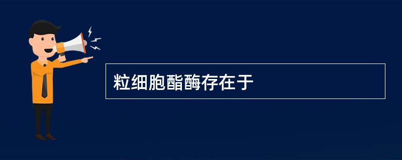 粒细胞酯酶存在于