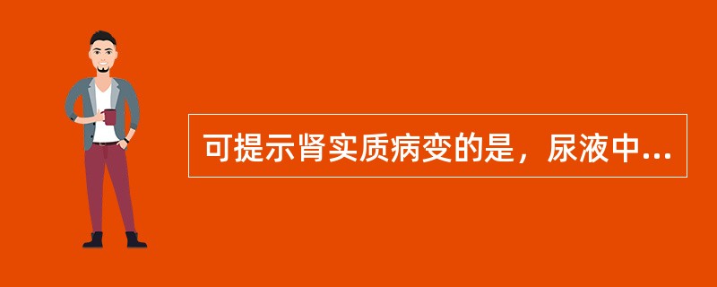 可提示肾实质病变的是，尿液中出现大量()