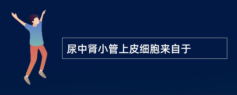 尿中肾小管上皮细胞来自于