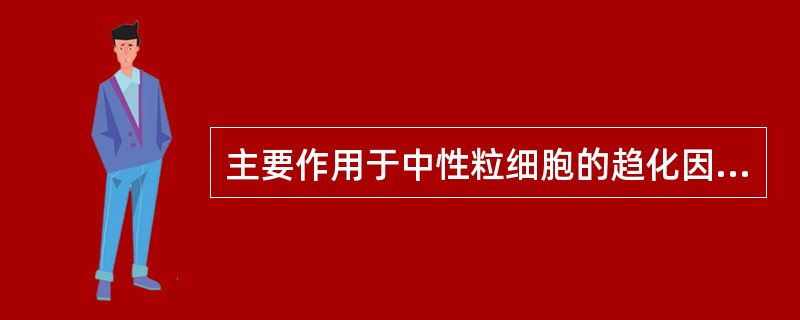 主要作用于中性粒细胞的趋化因子属于()