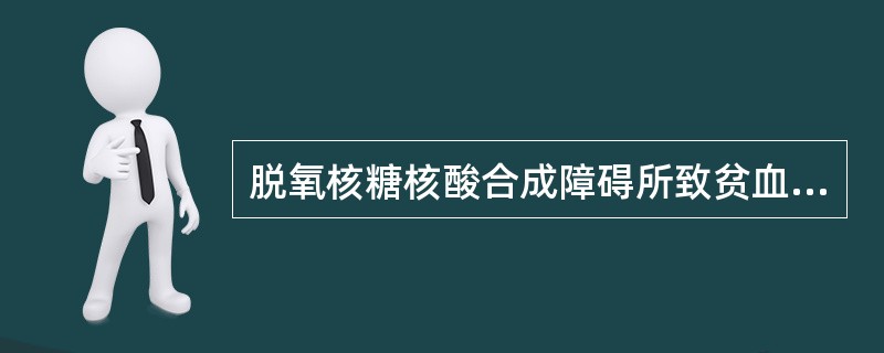 脱氧核糖核酸合成障碍所致贫血是()