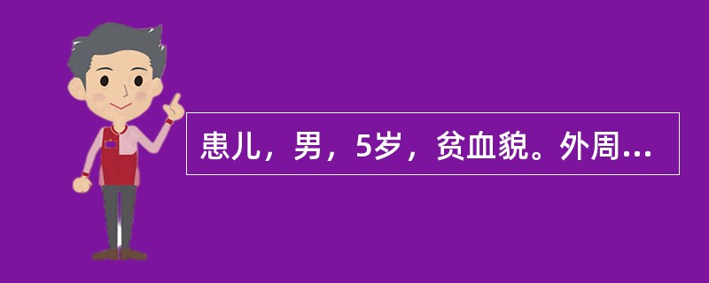 患儿，男，5岁，贫血貌。外周血检查结果：RBC3.5×10<img border="0" style="width: 16px; height: 18px;&quo