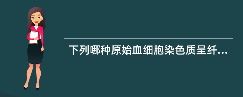 下列哪种原始血细胞染色质呈纤细疏松网状