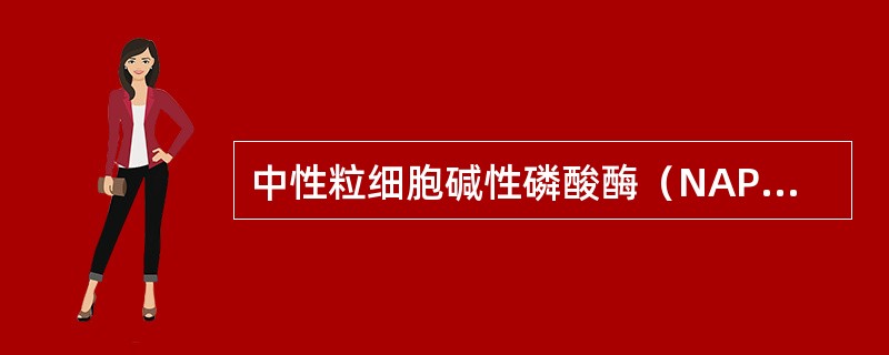 中性粒细胞碱性磷酸酶（NAP）积分下降见于