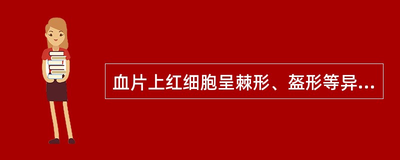 血片上红细胞呈棘形、盔形等异常形态时，可见于下列哪种疾病