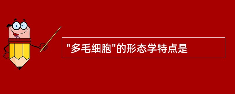 "多毛细胞"的形态学特点是