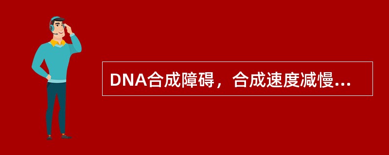 DNA合成障碍，合成速度减慢，致细胞核发育障碍，使细胞增殖的