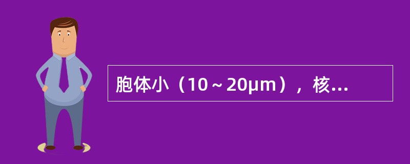 胞体小（10～20μm），核染色质较粗密，分布不匀，核仁1～3个，常模糊，胞质少，蓝色，无颗粒，常有出芽或小泡状，不规则突起，有时可见分离又与细胞相连的胞质碎片（似形成血小板）。符合下列哪种急性白血病