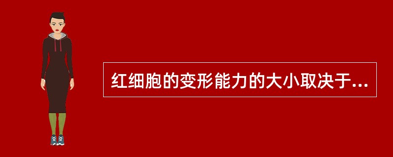 红细胞的变形能力的大小取决于红细胞的