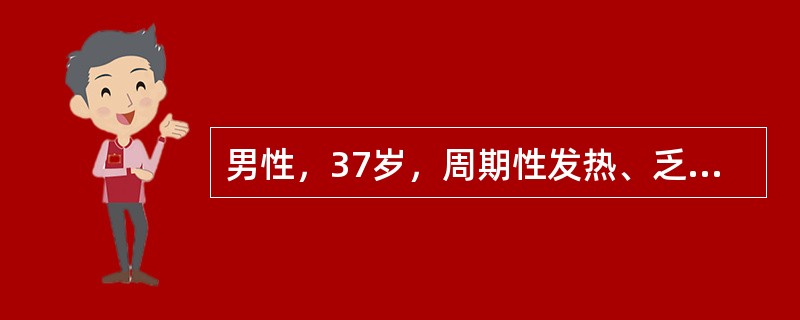 男性，37岁，周期性发热、乏力3月。查体：右颈部淋巴结及腹股沟淋巴结肿大，最大者2cm×4cm×2cm，肝脏肋下1cm，脾肋下3cm，血红蛋白94g／L，白细胞8.0×10<img border