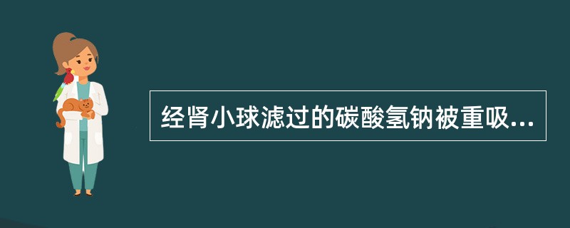 经肾小球滤过的碳酸氢钠被重吸收的主要部位是