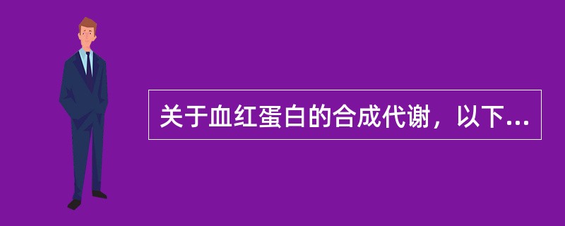 关于血红蛋白的合成代谢，以下说法正确的是