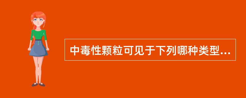 中毒性颗粒可见于下列哪种类型细胞内