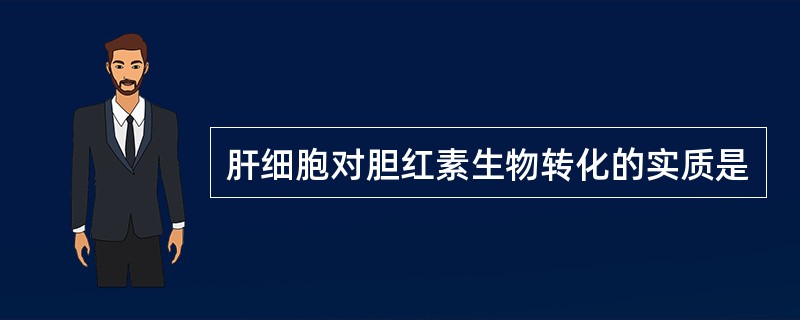 肝细胞对胆红素生物转化的实质是