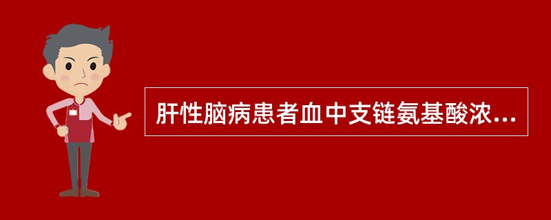 肝性脑病患者血中支链氨基酸浓度降低的机制是