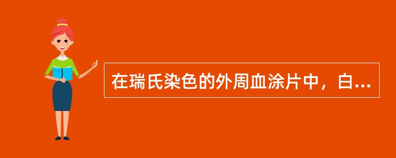 在瑞氏染色的外周血涂片中，白细胞胞质中出现的紫红色细杆状物质，长1～6μm，一条或数条不等，这种物质只出现在白血病细胞中，该物质为