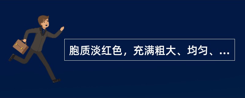 胞质淡红色，充满粗大、均匀、排列紧密的橘红色颗粒，此种细胞是
