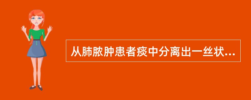 从肺脓肿患者痰中分离出一丝状菌，生长缓慢，血平板上为黄橙色菌落，表面干燥，有皱褶或呈颗粒状，革兰染色为阳性，抗酸染色为弱阳性。它可能是