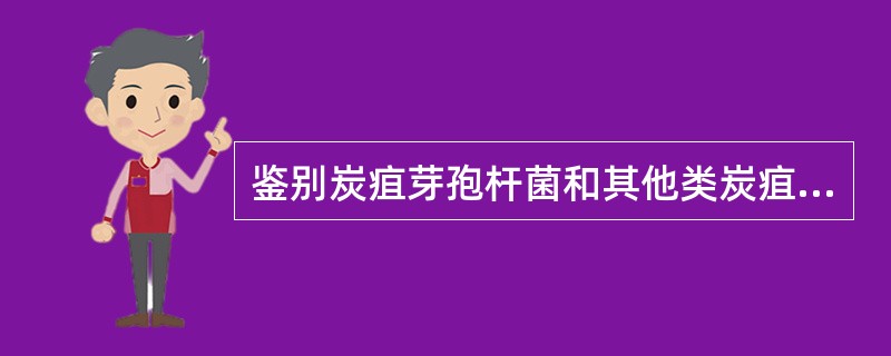 鉴别炭疽芽孢杆菌和其他类炭疽杆菌的试验是