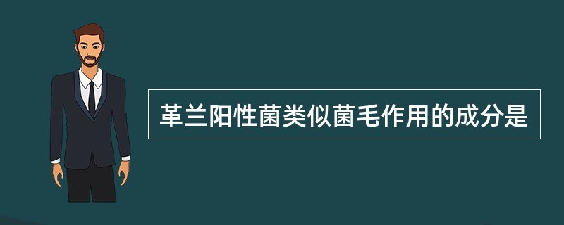 革兰阳性菌类似菌毛作用的成分是