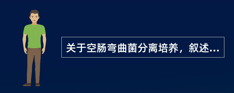 关于空肠弯曲菌分离培养，叙述正确的是