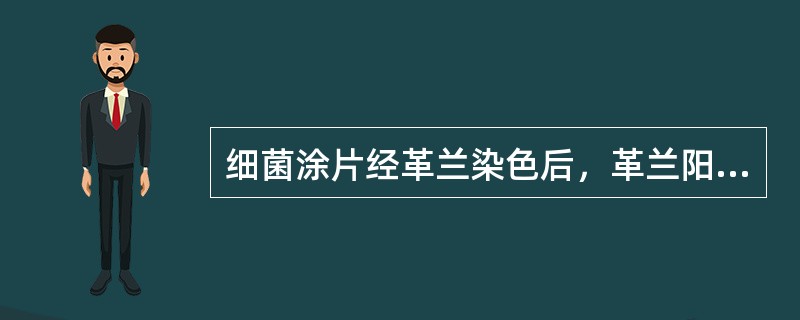 细菌涂片经革兰染色后，革兰阳性菌为