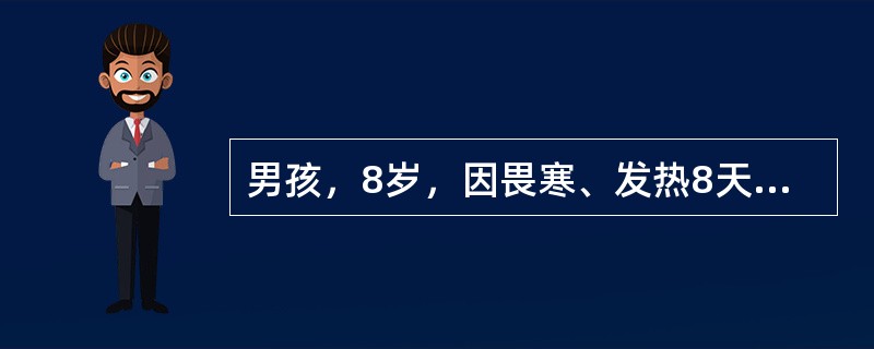 男孩，8岁，因畏寒、发热8天，伴纳差、腹胀、腹痛，大便每天1-2次，略稀，当地医院用青霉素治疗热不退转来。体检：体温39.2℃，神志清，精神萎靡，表情淡漠，舌苔厚，心肺无异常，腹略胀，肝肋下2cm，脾