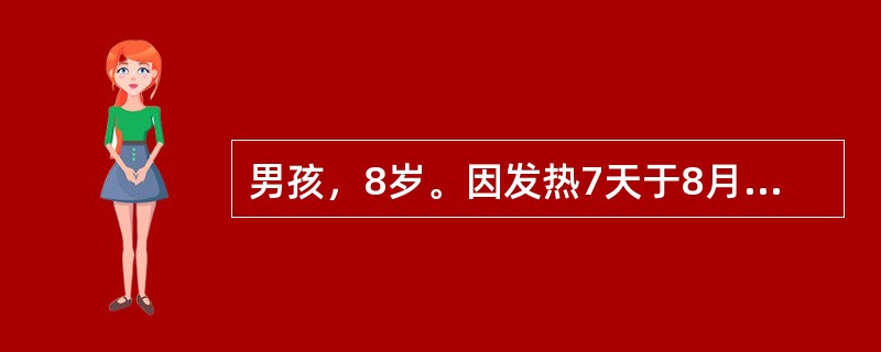 男孩，8岁。因发热7天于8月份入院。体检：表情淡漠，躯干部散在数枚淡红色斑丘疹，咽不红，颈部淋巴结数枚，黄豆大小，心肺无异常。腹胀、肝肋下3cm，脾肋下2cm。实验室检查，WBC7×10<img