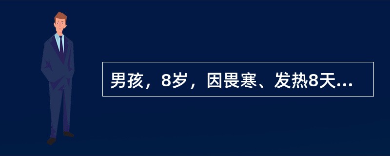 男孩，8岁，因畏寒、发热8天，伴纳差、腹胀、腹痛，大便每天1-2次，略稀，当地医院用青霉素治疗热不退转来。体检：体温39.2℃，神志清，精神萎靡，表情淡漠，舌苔厚，心肺无异常，腹略胀，肝肋下2cm，脾