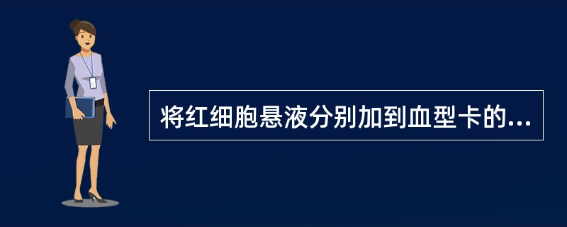 将红细胞悬液分别加到血型卡的两个区域内，再分别加入抗“A”和抗“B”血清，检测结果：血“AB”型。选择错误的描述